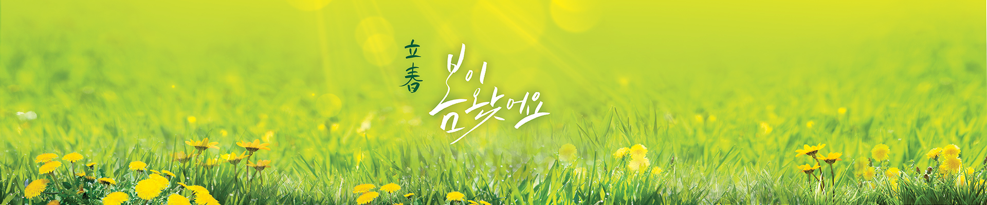 ���κ��־� �̹���