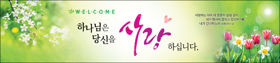 ȯ_A_312